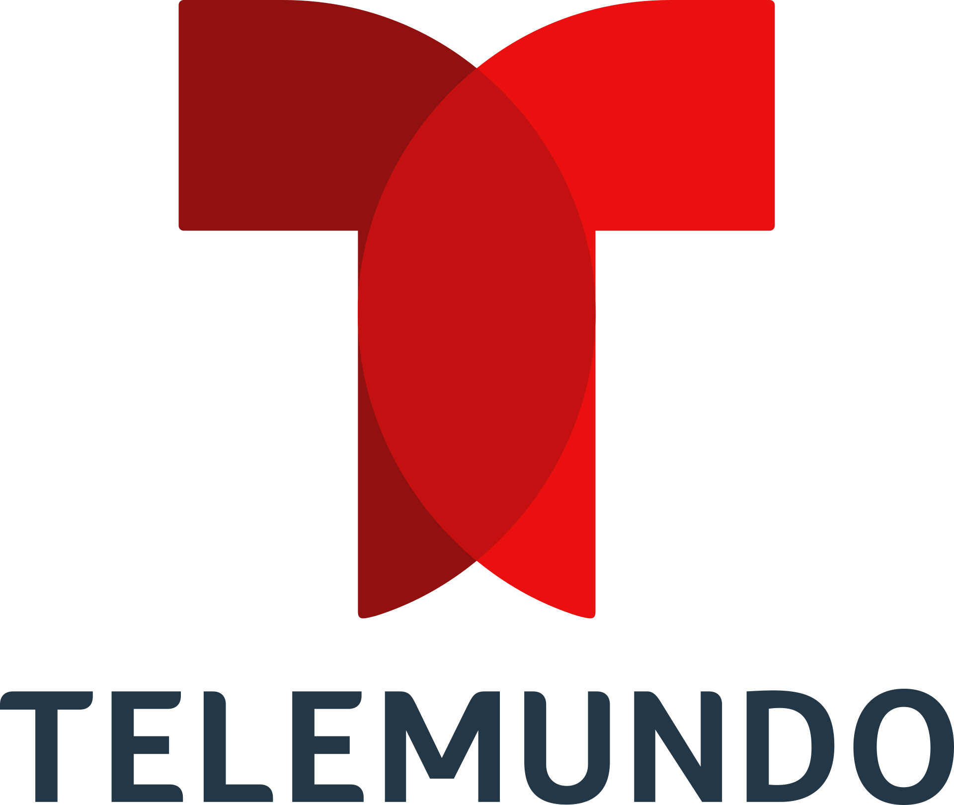 Jorge Martinez on Telemundo